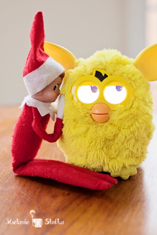 Elf on the Shelf + Furby = trouble with a capitol T!!!