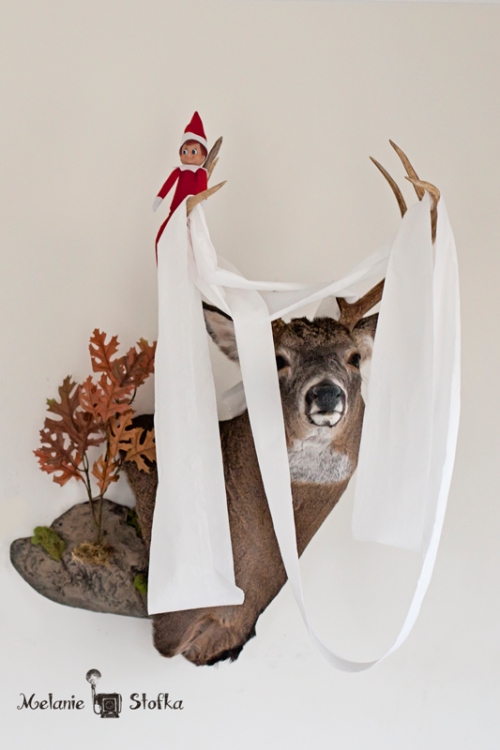 Love Bug thought that Daddy's deer head could use a little redecorating ;)