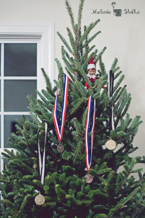 Our tree is a gold medal tree ;)